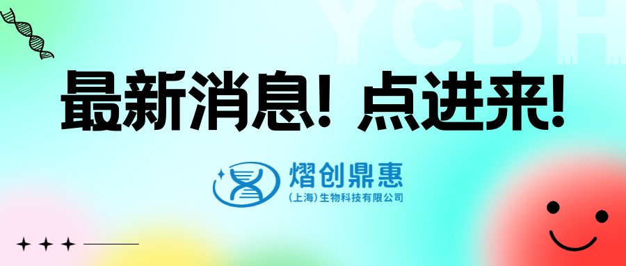 “全明星”在線 你pick哪一位